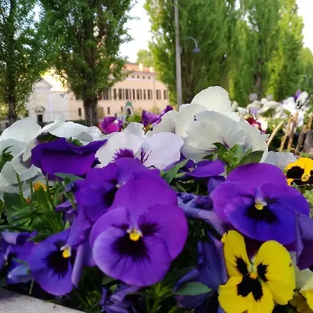 Bed & Breakfast Biancavilla *