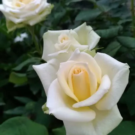 Biancavilla Bed & Breakfast