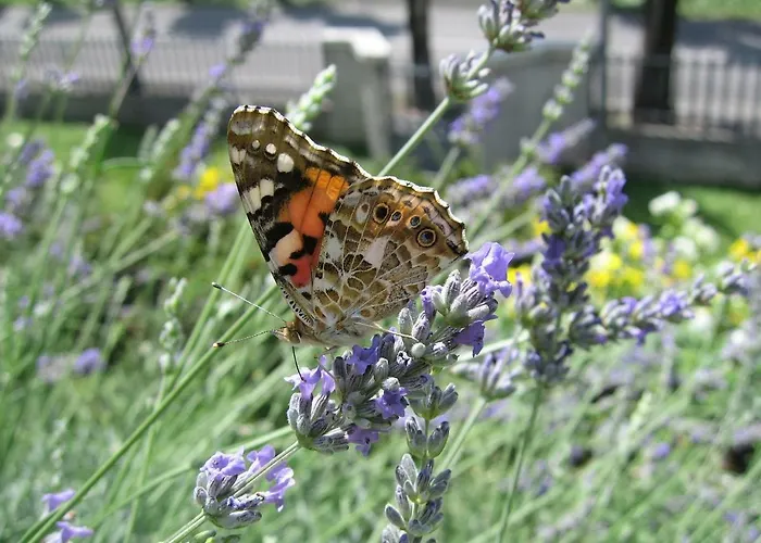 Biancavilla 住宿加早餐酒店
