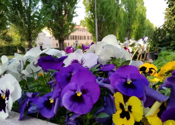 Bed & Breakfast Biancavilla *